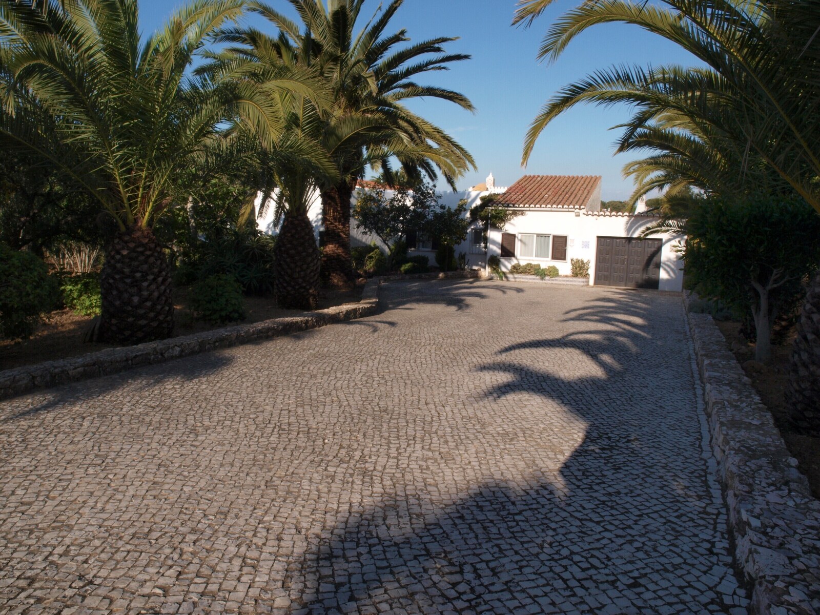 Palmeneinfahrt zur Villa